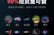 泰国斗鱼吃什么食物才漂亮,泰国斗鱼吃什么饲料
