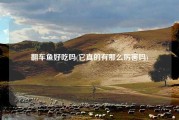 翻车鱼好吃吗(它真的有那么厉害吗)