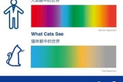 猫是色盲吗能分辨颜色吗,猫是色盲吗百度百科