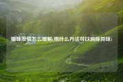 猫咪发情怎么缓解(用什么方法可以消除异味)