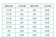 宠物猫的寿命最长能活多少年,猫的寿命最长能活多少年呀