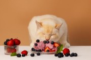 猫可以吃杨梅嘛,猫能吃杨梅吗有毒吗