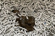猫咪一直拉稀但是精神很好,小猫拉稀能自愈吗还臭