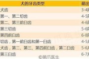 狗换牙吗换几次,狗换牙吗几个月换
