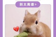 兔子不能喂水喝吗,兔子口渴的表现