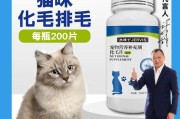 猫草片和化毛膏哪个好,猫草人可以吃吗