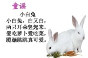 小白兔吃什么蔬菜和水果,小白兔吃什么菜