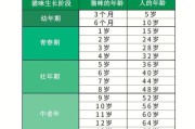 怎么判断猫的年龄美短(如何判断一只猫咪多大了)