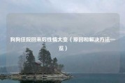 狗狗住院回来后性情大变（原因和解决方法一览）