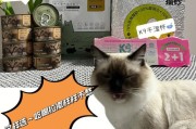 揭秘奶茶对狗狗的致命危害,奶茶中的糖分、反式脂肪都是狗狗的禁区
