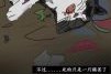 猫咪害怕主人的表现,虐猫的人有什么心理疾病