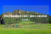 如何正确训练猫咪上厕所（猫咪大小便训练技巧分享）