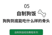 两个月的小狗能吃骨头吗,2个月的狗狗能吃骨头吗