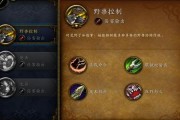 魔兽世界猎人宠物攻击宏怎么用(wow猎人宠物攻击宏)
