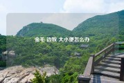 金毛 边牧 大小便怎么办