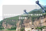 如何培养拉布拉多幼犬定点大小便（打造无忧家居环境）