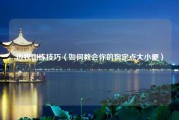 边牧训练技巧（如何教会你的狗定点大小便）