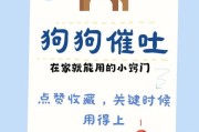 怎么给狗催吐,没有双氧水,怎么给狗催吐洗胃