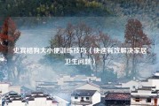 史宾格狗大小便训练技巧（快速有效解决家居卫生问题）