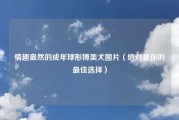 情趣盎然的成年球形博美犬图片（绝对是你的最佳选择）