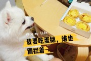 蛋挞对狗狗来说是禁忌,蛋挞对狗狗的健康危害不容忽视