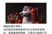 狗可以吃西红柿吗!,狗可以吃西红柿吗的短视频