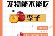 狗狗能不能吃李子肉,狗狗能不能吃李子园