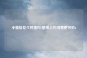 小猫能吃生鸡蛋吗(蛋壳上的细菌更可怕)
