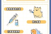 给狗狗打疫苗的正确步骤与注意事项