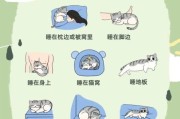 猫喜欢睡主人旁边是为什么,猫为啥喜欢睡在人身边