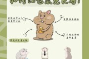 怎么判断仓鼠饿了,怎么判断仓鼠几岁了