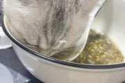 猫可以吃绿豆汤吗,猫咪可以吃绿豆吗