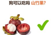 狗子可以吃山竹,狗子能吃山竹么