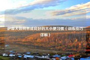 萨摩犬如何养成良好的大小便习惯（训练技巧详解）