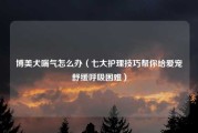 博美犬喘气怎么办（七大护理技巧帮你给爱宠舒缓呼吸困难）