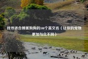 找寻适合博美狗狗的100个英文名（让你的宠物更加与众不同）