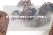 猫发情的时间(猫咪绝育可以解决发情困扰)