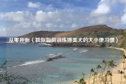 从零开始（教你如何训练博美犬的大小便习惯）