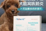 拉布拉多咳嗽吃什么药好得快(拉布拉多窝咳吃什么药)
