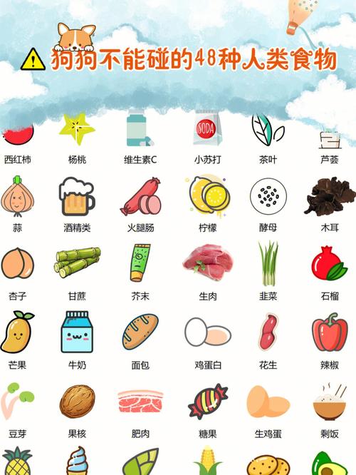 了解狗狗不能吃的荤食类型,那些狗狗吃了会拉肚子的食物