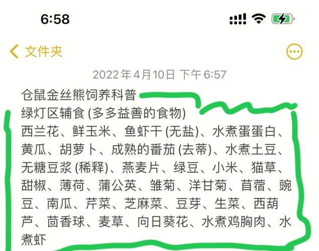 仓鼠能吃什么(揭秘仓鼠的美食秘诀)