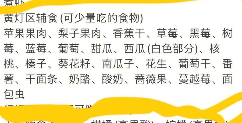 仓鼠能吃什么(揭秘仓鼠的美食秘诀)