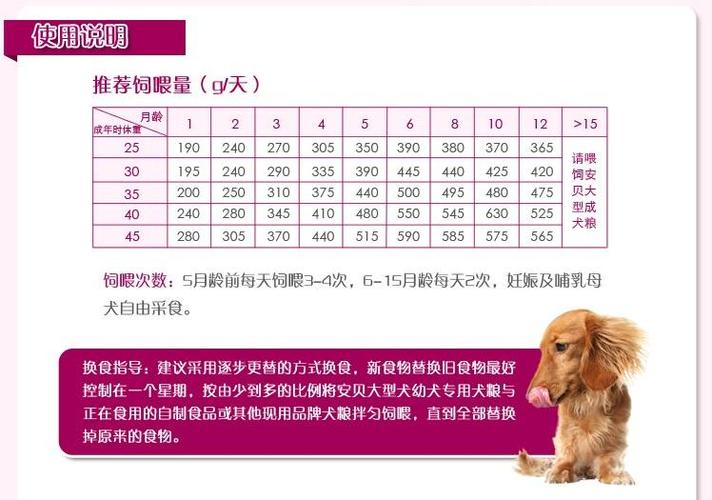 如何正确喂养金毛幼犬(为金毛幼犬量身定制的喂养方案)