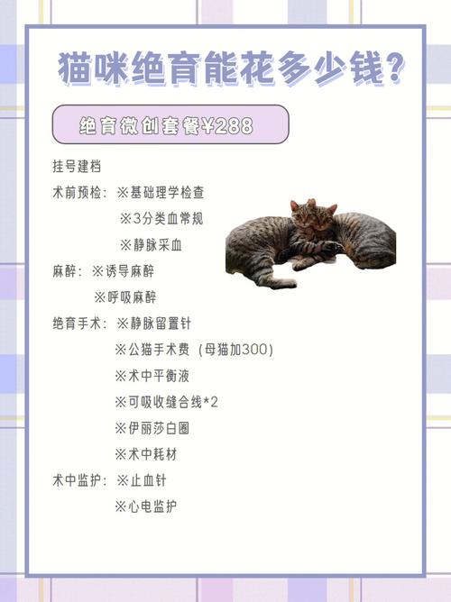 宠物绝育手术自发调价(公母猫绝育手术价格差异)