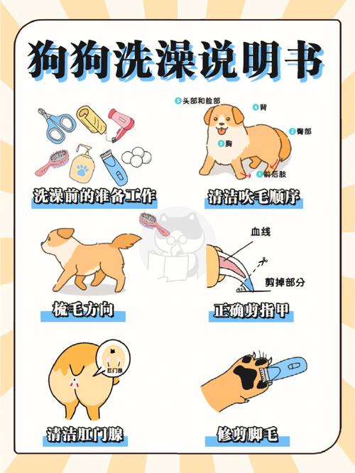 幼犬洗澡时间指南(了解何时给爱犬第一次洗澡)