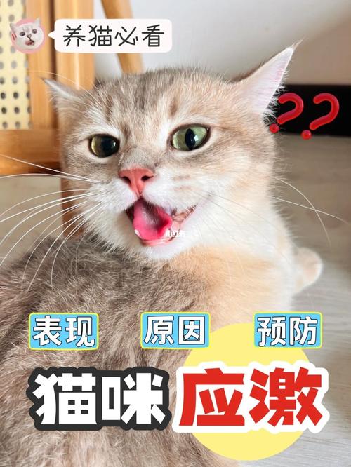 揭秘猫应激反应的诱因,如何识别猫应激反应的早期征兆