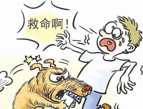 狗咬主人怎么纠正(狗咬主人视频)