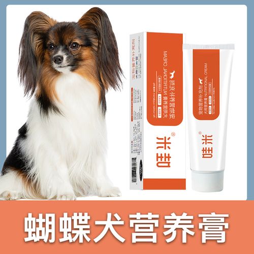 狗狗怕冷的健康隐患及应对建议(幼崽和老年犬是否怕冷的注意事项)