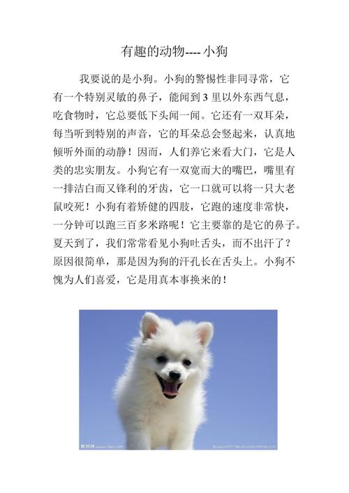狗的特征和特点(狗狗的领地意识)