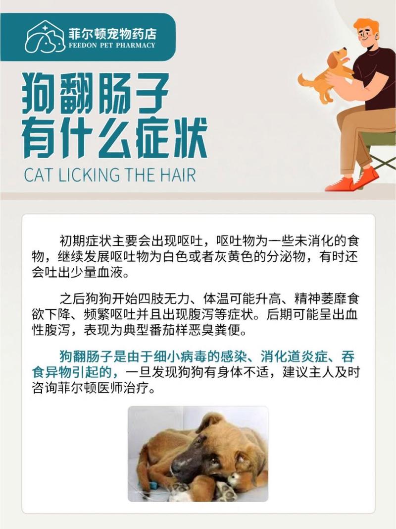狗翻肠子(幼犬翻肠子的根源和救治之道)
